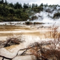 Orakei Korako
